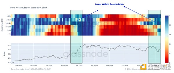 大型钱包又开始囤积比特币了。来源：Glassnode