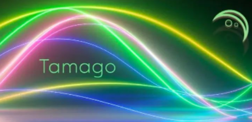 Web3音频流媒体平台Tamago完成100万美元种子轮融资，Block0等参投